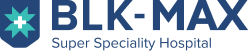 BLK MAX SUPER SPECIALTY HOSPITAL, NEW DELHI logo